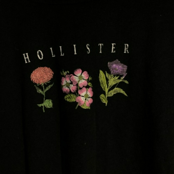Hollister Crop Top - Picture 2 of 2
